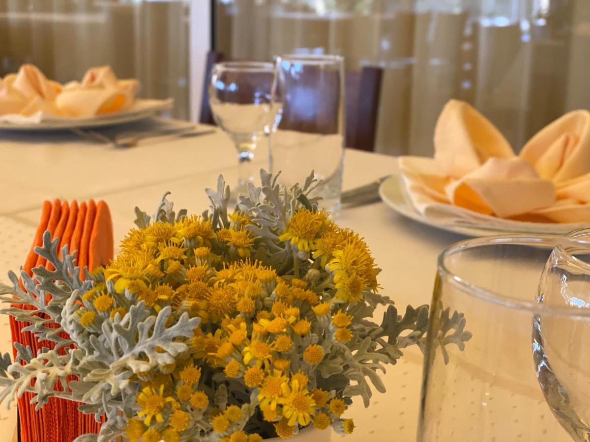 Hotel Plamena Palace 프리모르스코 외부 사진