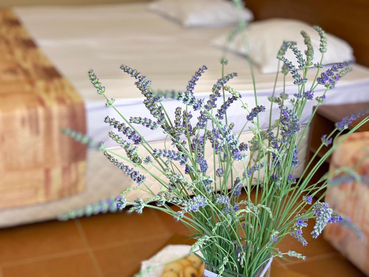Hotel Plamena Palace 프리모르스코 외부 사진