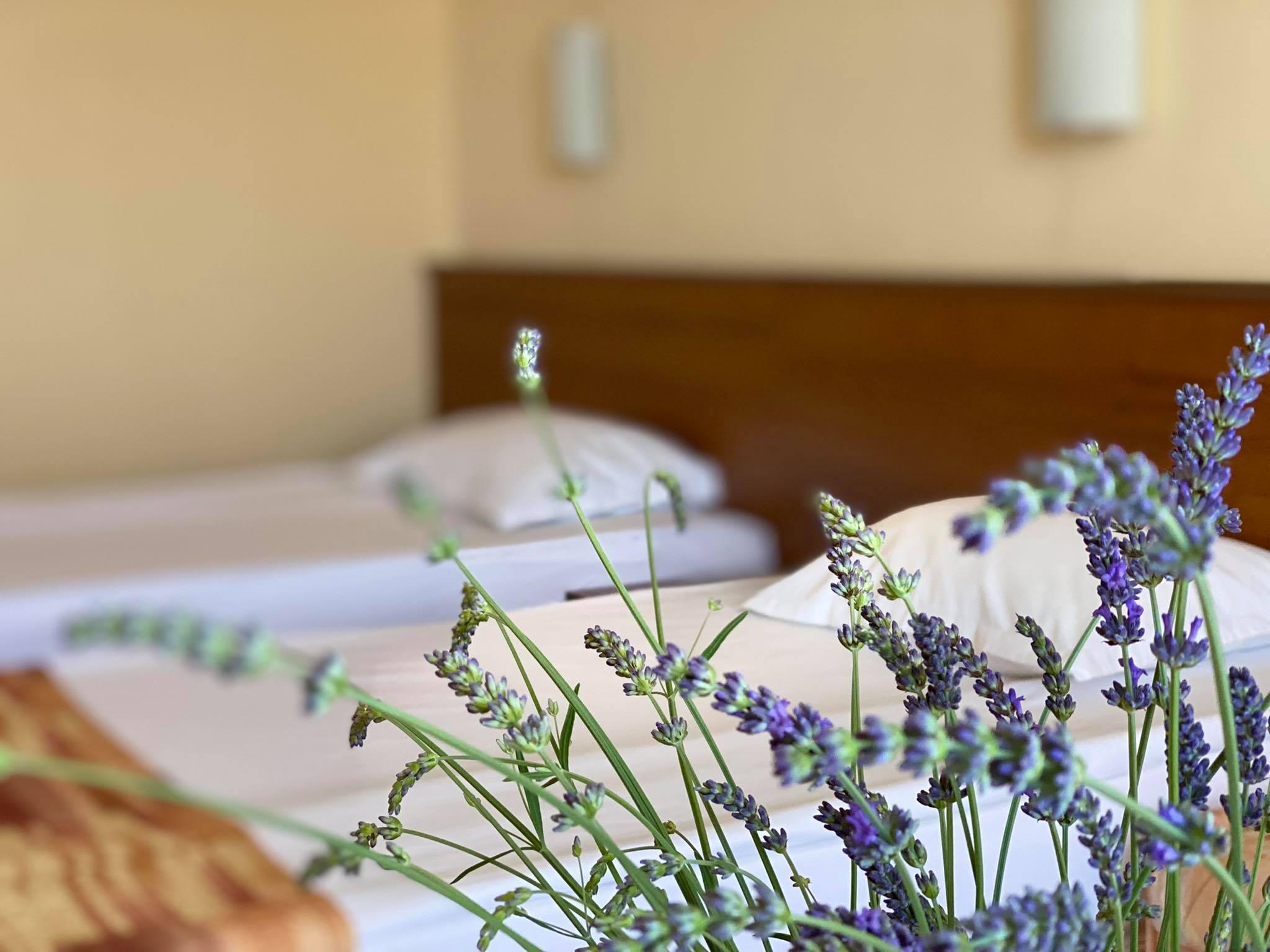 Hotel Plamena Palace 프리모르스코 외부 사진